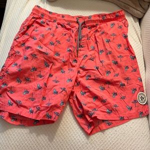 Cute boys summer shorts